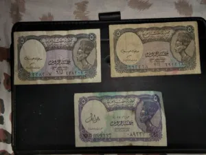 مقتنيات للهواة