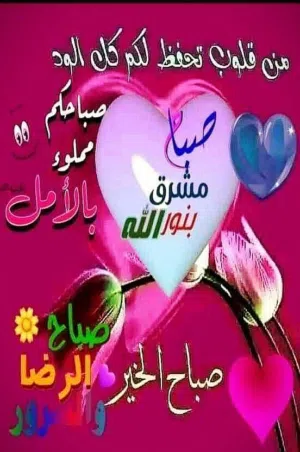 اليافعي عدن 
