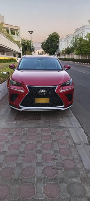 Used Lexus NX in Muscat