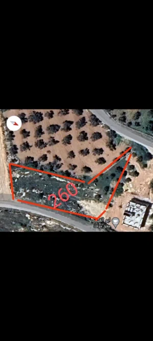 Residential Land for Sale in Salt Al Maghareeb