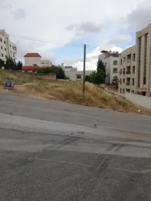 Residential Land for Sale in Amman Al Bnayyat