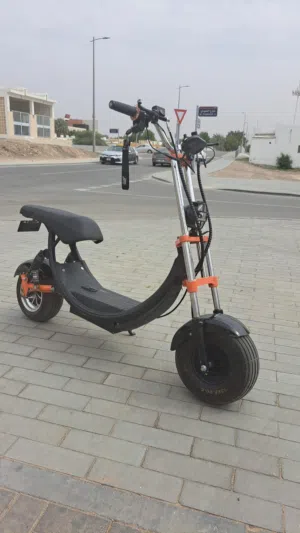 The C2 Pro 48V scooter is a powerful, heavy-duty electric scooter designed
