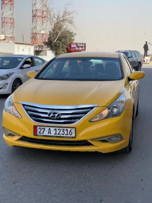 سوناته 2012 وراد امريكي