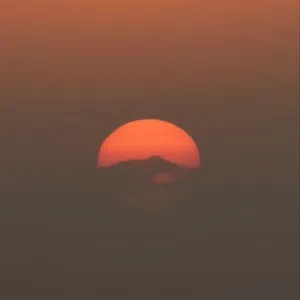 ابو أنس 
