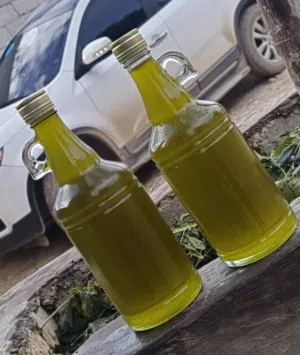 زيت زيتون. بعل للبيع السنه 125