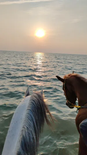 تنظيم فعاليات ترفيهية... Ride & Fish   بواسطة شركة اتش جاي جينيرال تريدنج
