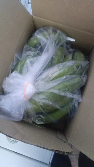 ‏خضار وفواكه‏0