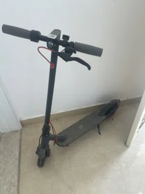 Scooter Windhorse