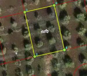 Residential Land for Sale in Irbid Bushra