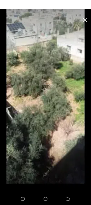 Residential Land for Sale in Irbid Aydoun