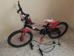 Bicycle & 2 bicycle pumps