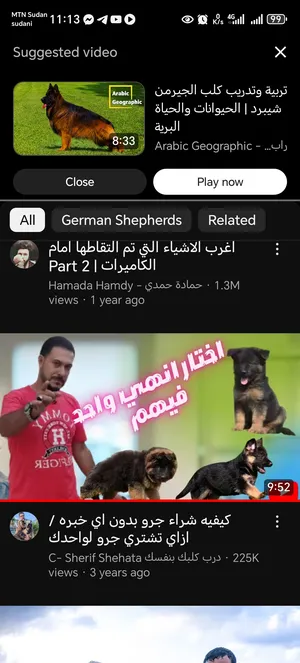 ‏جيرمن‏0