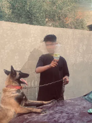 انتايه مينوا البيع تحتها جروي