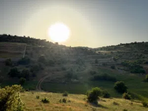 Farm Land for Sale in Jerash Soof