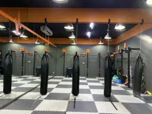 للبيع: Punching Bags احترافية