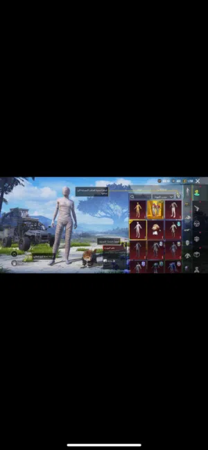 Pubg Accounts and Characters for Sale in Farwaniya