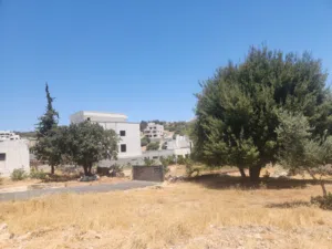 بدر الجديده أجمل مناطق عمان الغربية الميسر  500