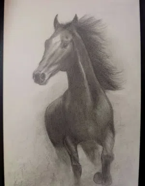 رسمه خيل مرسومه يدويًا بالفحم والرصاص