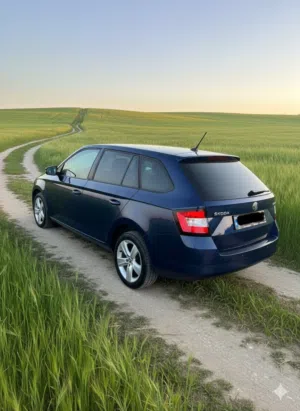 Used Skoda Fabia in Tulkarm