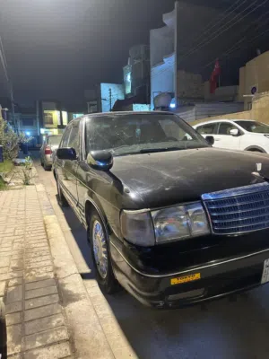 علي 