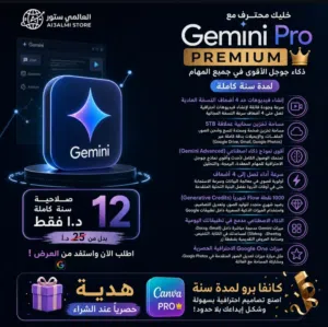 Google Gemini Pro جيميني برو