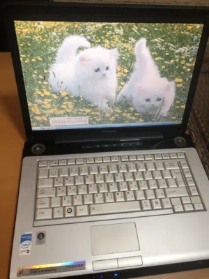 لابتوب توشيبا Toshiba Notebook