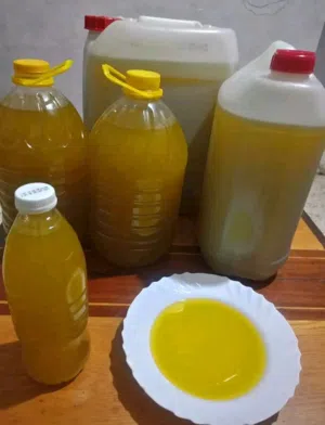 زيت زيتون جديد