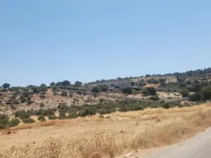بدر الجديده أجمل مناطق عمان الغربية منطقة فلل فخمة افراز جديد منطقة حديثة على شارعين