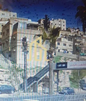 للاستثمار فقط مكون من عمارتين في أجمل مناطق جبل عمان نزول المهاجرين على شارع رئيسي بسعر مغري جدا