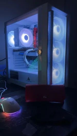 بيسي قيمنق