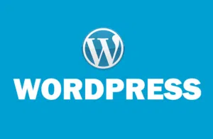 WordPress Development (Themes / Plugins) Per Project