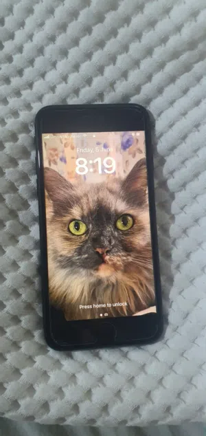 Apple iPhone SE 64 GB in Amman