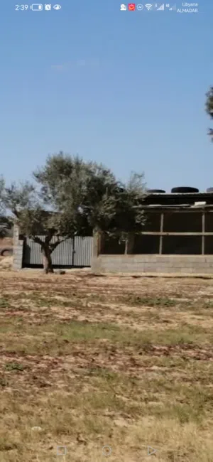Farm Land for Sale in Misrata Other