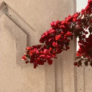 بيع وشراء 