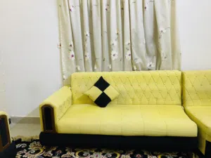 تخم قنفات عراقي لون اصفر واسود اقرء الوصف