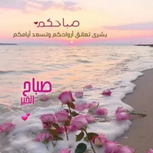 ابو ابراهيم 