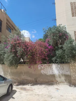 عمارة للبيع