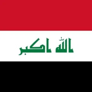 زين الزين 
