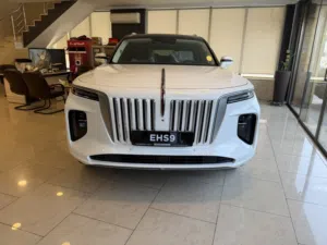 Hongqi e-Hs9 2025زيرو وارد و كفالة الوكيل