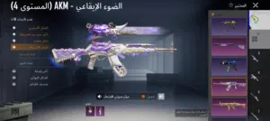 Pubg Accounts and Characters for Sale in Zarqa