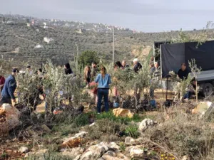 ارض 17دونم ب 300 الف دينار شمال دير استيا مسيجة ومشجرة 120شجرة على شارعين يمكن بيع جزء الدونم 20000