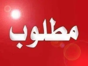 مطلوب صيصان جاج بلدي