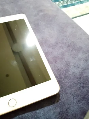 Apple iPad 5 256 GB 7.9 inch