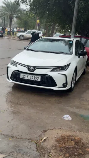 كورلا 2025