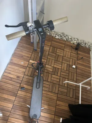Custom scooter