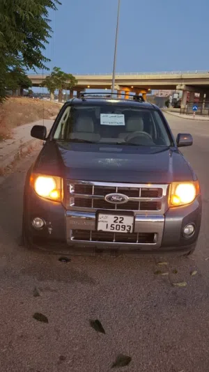 Used Ford Escape in Salt