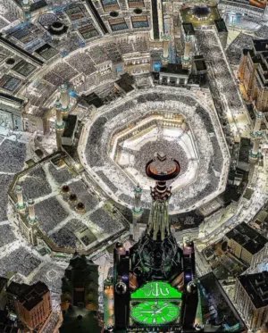 مطلوب كباش وضان مال 4 شهور الى 5 اشهر.