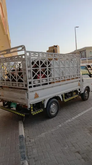Best Movers and Packer Service all UAE all kind Furniture dismantel and fixing Carpenter availeble