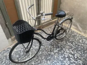 دراجة هوائية ( نوع موزه )