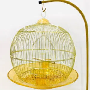 قفص ذهبي دائري مع القاعدة ذهبي ركز معي مش مصري بضاعة صح 100٪